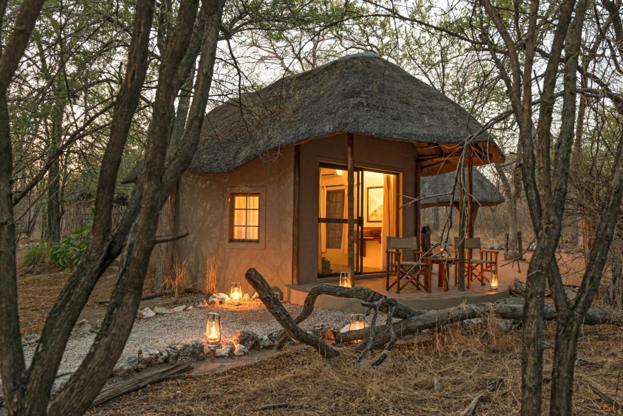 Onguma Forest Camp 纳穆托尼 外观 照片