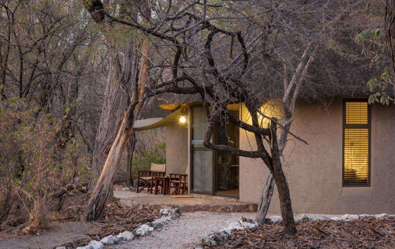 Onguma Forest Camp 纳穆托尼 外观 照片