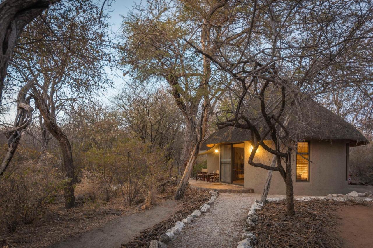Onguma Forest Camp 纳穆托尼 外观 照片