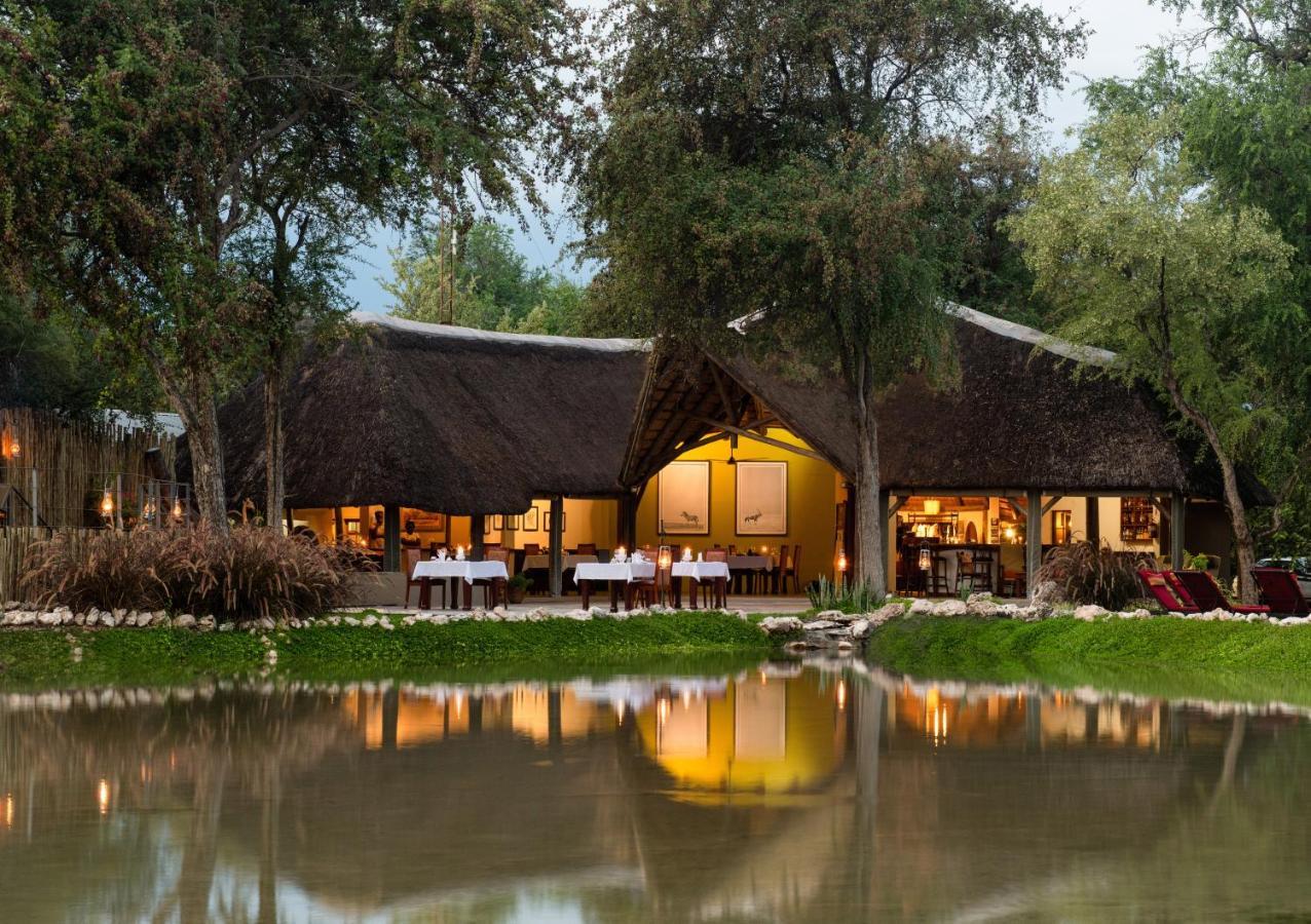 Onguma Forest Camp 纳穆托尼 外观 照片
