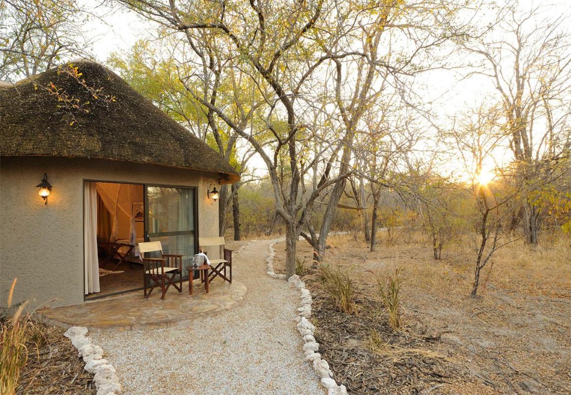 Onguma Forest Camp 纳穆托尼 外观 照片